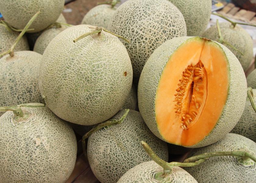 California cantaloupe growers expect a delayed but promotable season